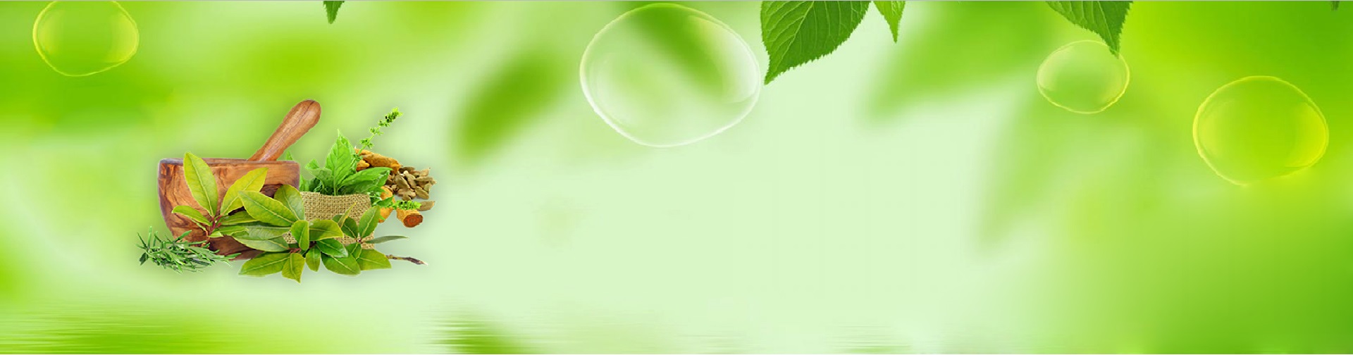 Management Banner